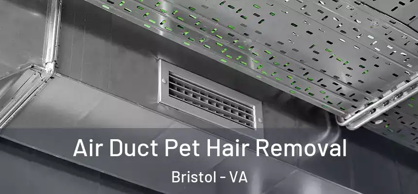  Air Duct Pet Hair Removal Bristol - VA