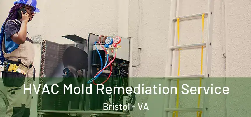 HVAC Mold Remediation Service Bristol - VA