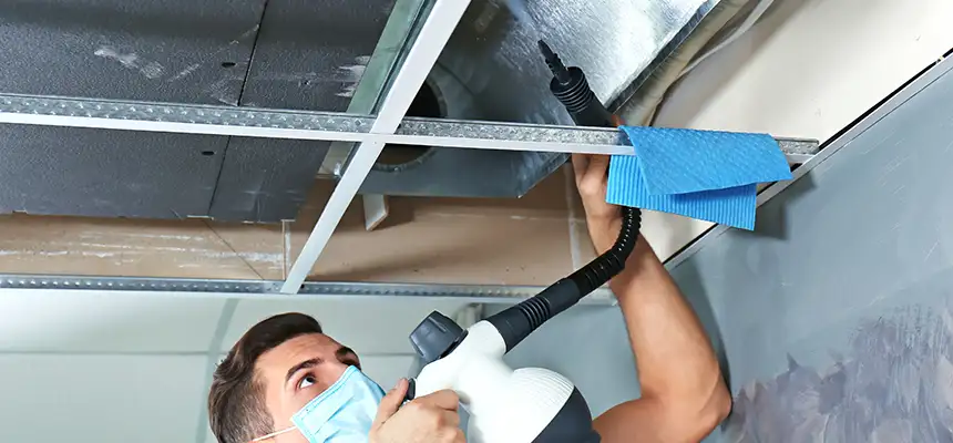 Our Air Duct Rodent Removal Services in Bristol, VA