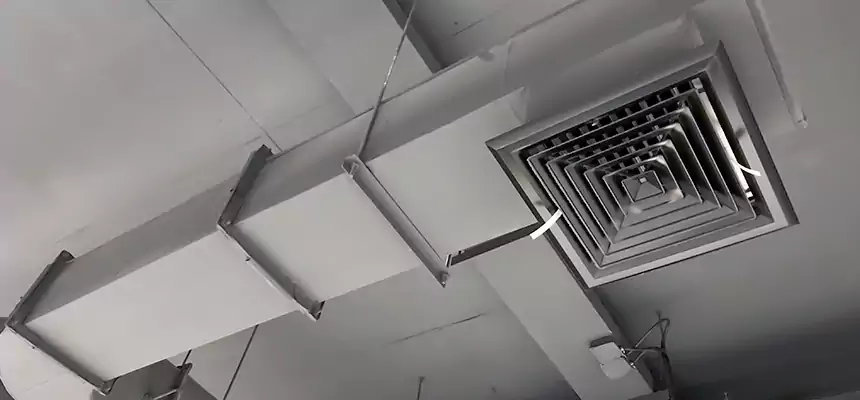 Our Pest Removal From Ducts Services in Bristol, VA