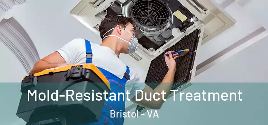  Mold-Resistant Duct Treatment Bristol - VA