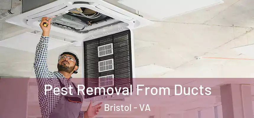  Pest Removal From Ducts Bristol - VA