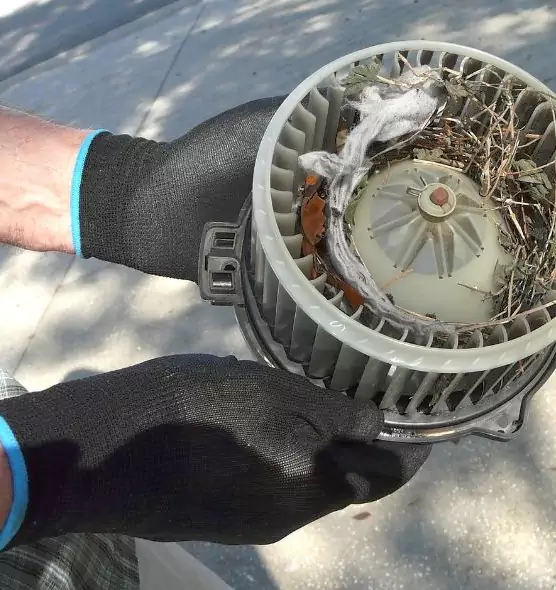 About Air Duct Rat Removal in Bristol, VA