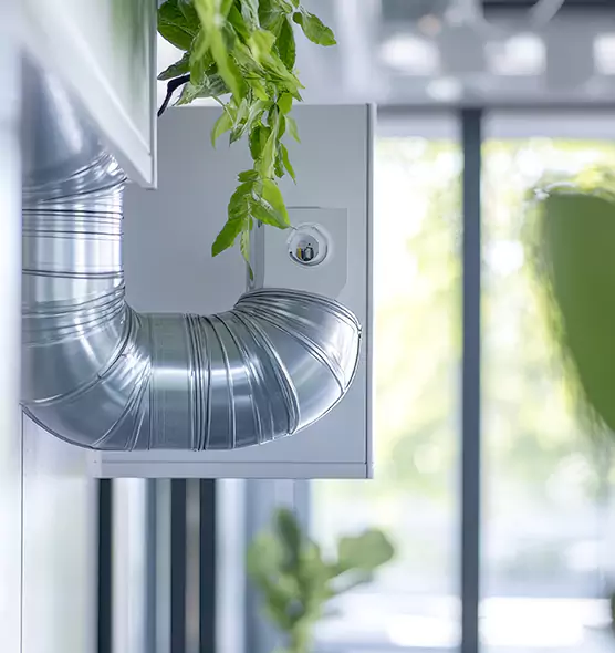 Professional Eco-Safe Dryer Vent Cleaning in Bristol, VA