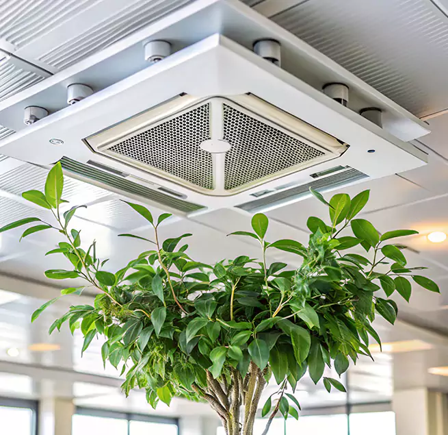 Why Homeowners & Businesses Trust Us in Bristol, VA