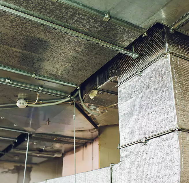 Why Homeowners & Businesses Trust Us in Bristol, VA?